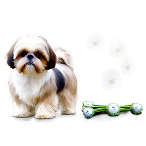 Shih Tzu In Park PNG Lxu51
