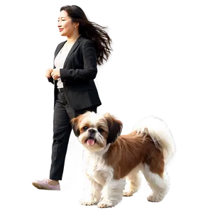 Shih Tzu On Walk PNG 7