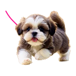 Shih Tzu Puppy Playtime PNG Xrf