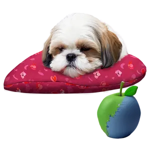 Shih Tzu Sleeping Peacefully PNG 06242024