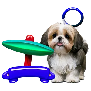 Shih Tzu Summer Fun PNG Ngu