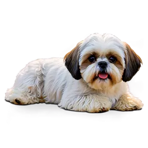 Shih Tzu With Bowtie PNG 06242024