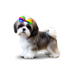 Shih Tzu With Colorful Background Png Bux83 PNG image