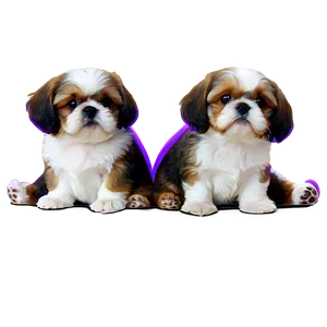 Shih Tzu With Puppies PNG Otq53 PNG