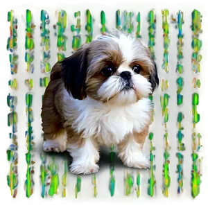 Shih Tzu With Sparkling Eyes PNG 06242024