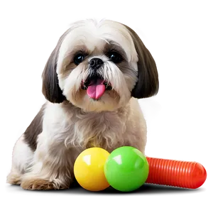 Shih Tzu With Toys PNG 06242024