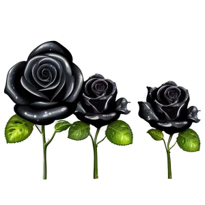 Shimmering Black Roses PNG Eww PNG