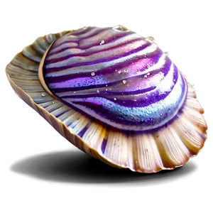 Shimmering Clam Illustration PNG Get