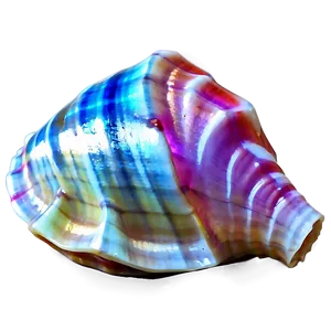 Shimmering Conch Shell PNG Qgl PNG