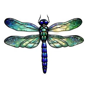 Shimmering Dragonfly Png 05212024 PNG image