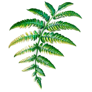 Shimmering Fern Leaf Beauty Png 52 PNG image