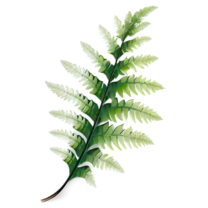 Shimmering Fern Leaf Beauty PNG Atw9