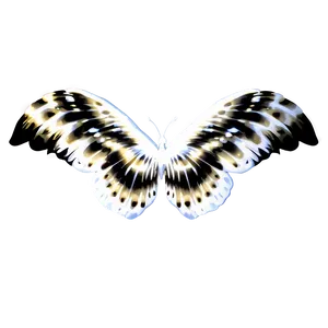 Shimmering White Wings Png 06262024 PNG image