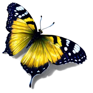 Shimmering Yellow Butterfly Png 18 PNG image