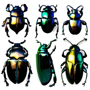 Shiny Beetle Texture PNG 48