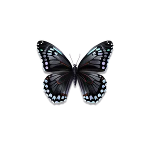 Shiny Black Butterfly Png 13 PNG image