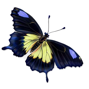 Shiny Black Butterfly PNG Mdp74 PNG