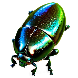 Shiny Bug Png Jmy10 PNG image