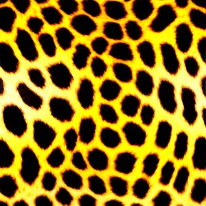 Shiny Cheetah Print Surface PNG Uuq1 PNG