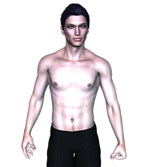 Shirtless3 D Male Model