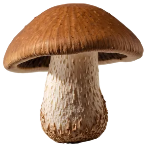 Shitake Mushrooms Png 05242024 PNG image