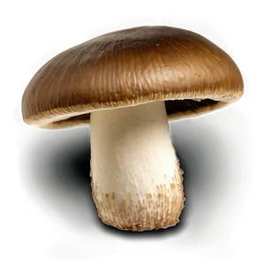 Shitake Mushrooms Png Uve28 PNG image
