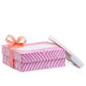 Shoe Box For Bridesmaids Png 06202024 PNG image