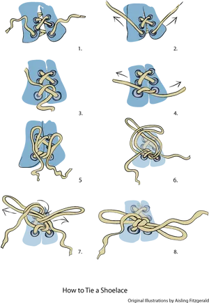 Shoelace Tying Instructional Guide PNG image