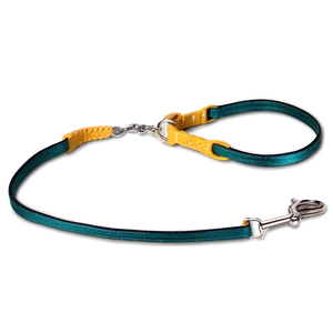 Short Dog Leash PNG 36 PNG