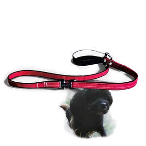 Short Dog Leash PNG Egj4 PNG