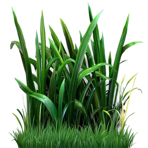 Short Green Grass PNG Yrm