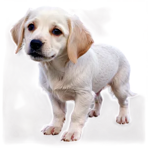 Short Haired Dogs PNG Ocu23