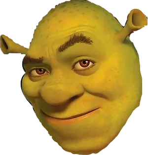 Shrek Character Close Up Face.png PNG image
