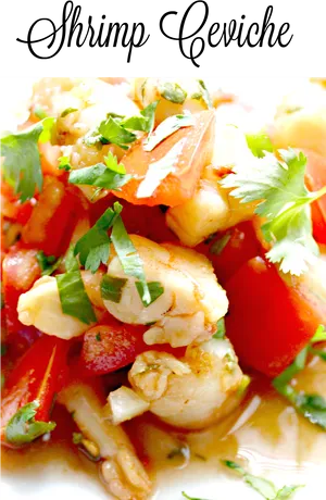 Shrimp Cevichewith Coriander PNG image