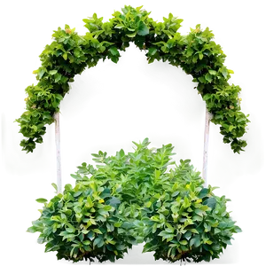 Shrub Border Png 86 PNG image