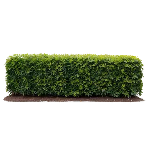 Shrub For Hedge PNG Ngl PNG