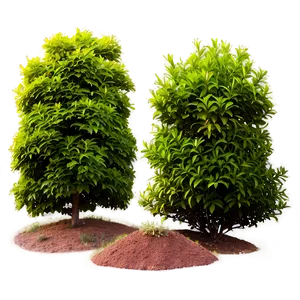 Shrub For Landscaping PNG 71 PNG