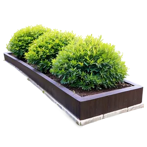 Shrub In Garden Bed Png 56 PNG image