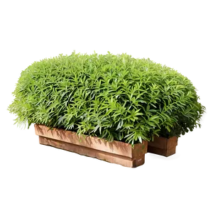 Shrub In Garden Bed Png 78 PNG image