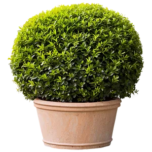 Shrub In Garden Bed PNG Iap27 PNG