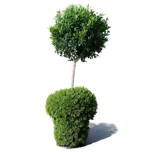 Shrub In Landscape Png Acy88 PNG image