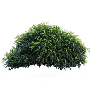 Shrub Outline PNG Vrv8 PNG