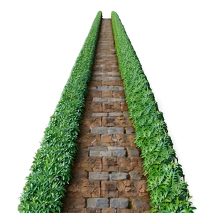 Shrub Pathway PNG 30 PNG