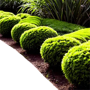 Shrub Pathway Png 9 PNG image