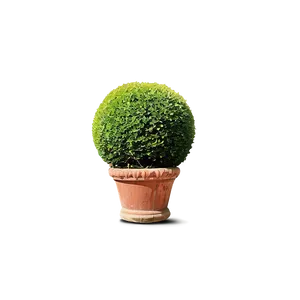 Shrub Topiary PNG 05252024 PNG