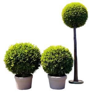 Shrub Topiary PNG 79 PNG
