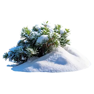 Shrub With Snow Png Aox56 PNG image