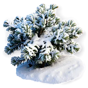 Shrub With Snow PNG Gxr