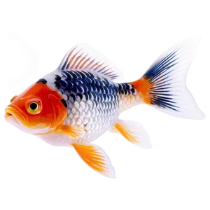 Shubunkin Goldfish PNG 76