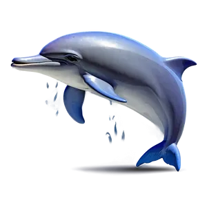 Shy Cartoon Dolphin Png Lgq PNG image